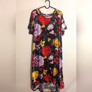Floral Lularoe Carly Dress